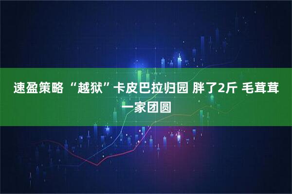 速盈策略 “越狱”卡皮巴拉归园 胖了2斤 毛茸茸一家团圆