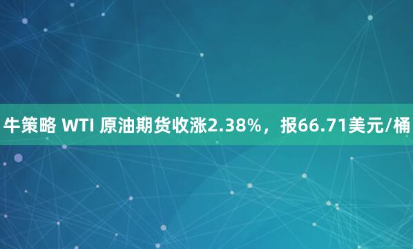 牛策略 WTI 原油期货收涨2.38%，报66.71美元/桶