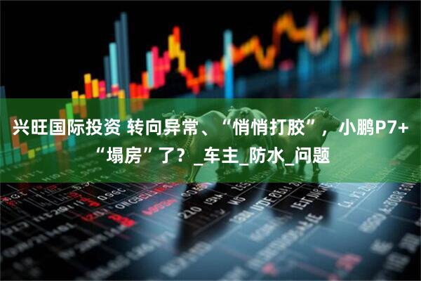 兴旺国际投资 转向异常、“悄悄打胶”，小鹏P7+“塌房”了？_车主_防水_问题