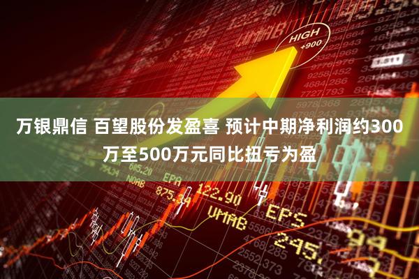 万银鼎信 百望股份发盈喜 预计中期净利润约300万至500万元同比扭亏为盈