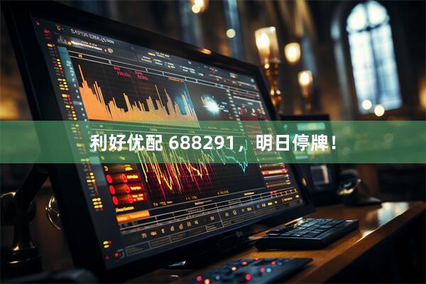 利好优配 688291，明日停牌！