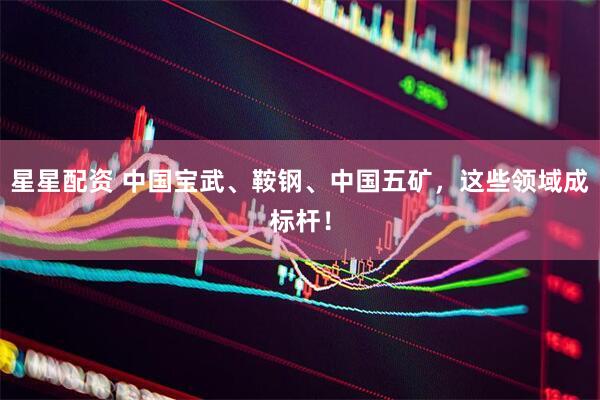 星星配资 中国宝武、鞍钢、中国五矿，这些领域成标杆！