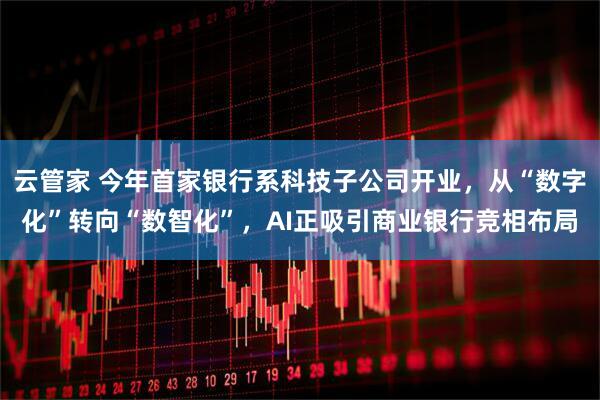 云管家 今年首家银行系科技子公司开业，从“数字化”转向“数智化”，AI正吸引商业银行竞相布局