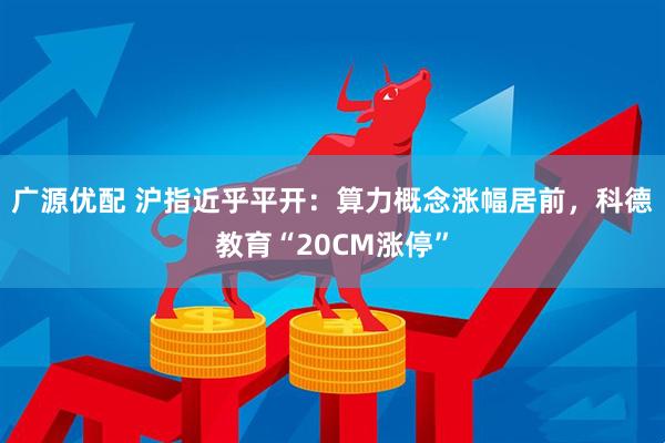 广源优配 沪指近乎平开：算力概念涨幅居前，科德教育“20CM涨停”